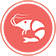 Skorupiaki